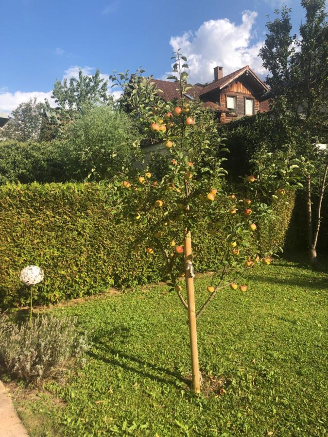 Auszeit Im Allgau Sonthofen Exterior foto